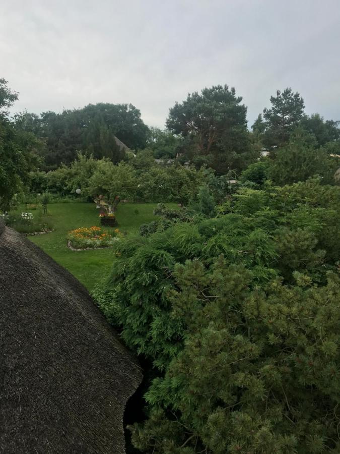 Hering Fewo II Apartment Balcony Wiek auf Rügen المظهر الخارجي الصورة