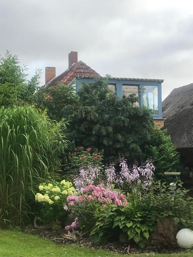 Hering Fewo II Apartment Balcony Wiek auf Rügen المظهر الخارجي الصورة
